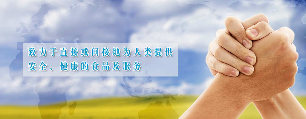 生產(chǎn)線設(shè)備
